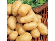 Arran Pilot Seed Potatoes (First Early - 1 kg)